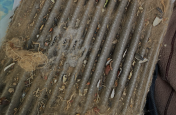 Dirty cabin air filter causing weak airflow and odor from vehicle vents